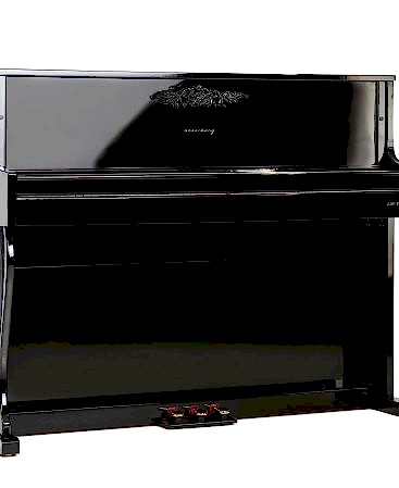 Arsenberg ADP1923BV3 Siyah Dijital Piyano 2024 Versiyon