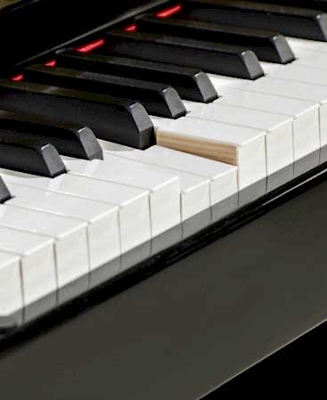 Arsenberg ADP1923BV3 Siyah Dijital Piyano 2024 Versiyon