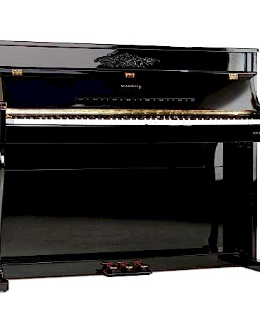 Arsenberg ADP1923BV3 Siyah Dijital Piyano 2024 Versiyon