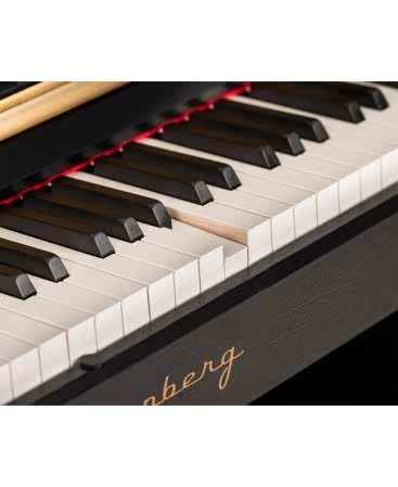 Arsenberg ADP1968B Siyah Dijital Piyano