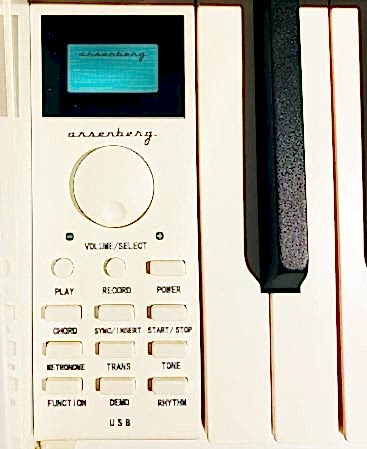 Arsenberg ADP1977BV3 Siyah Dijital Piyano 2024 Yeni Versiyon