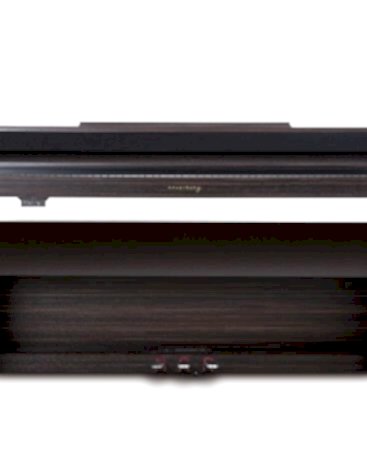 Arsenberg Speyer ASDP30-01RS Dijital Piyano