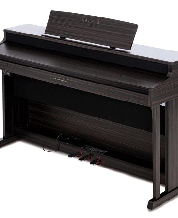 Arsenberg Speyer ASDP30-01RS Dijital Piyano
