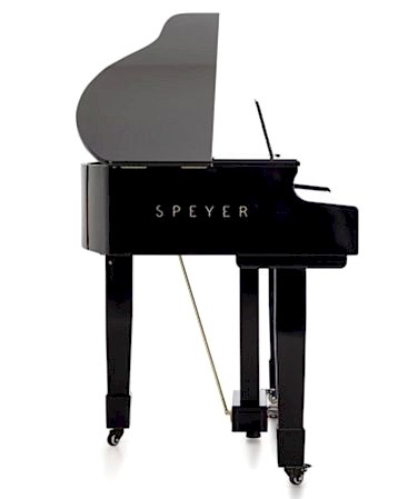 Arsenberg Speyer Serisi AG30S Grand Piyano