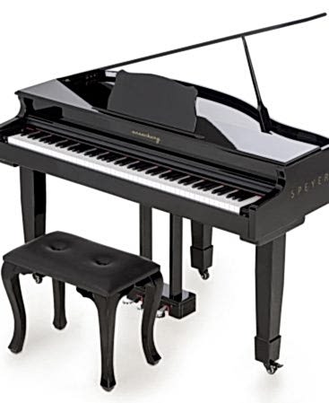 Arsenberg Speyer Serisi AG30S Grand Piyano