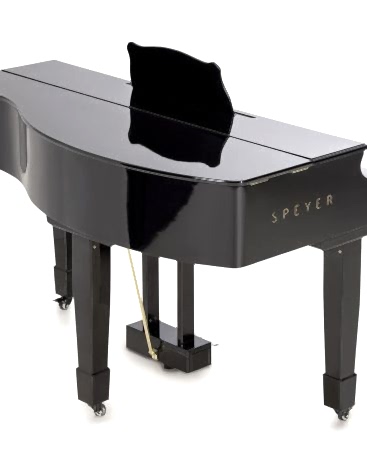 Arsenberg Speyer Serisi AG30S Grand Piyano