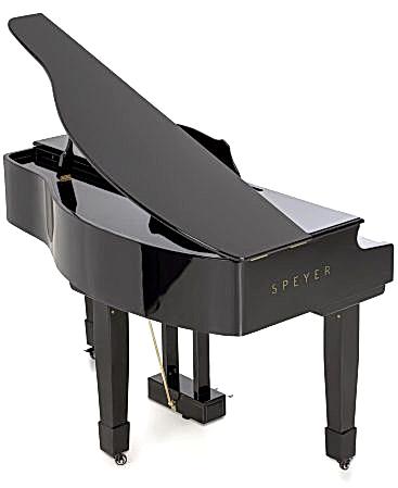 Arsenberg Speyer Serisi AG30S Grand Piyano